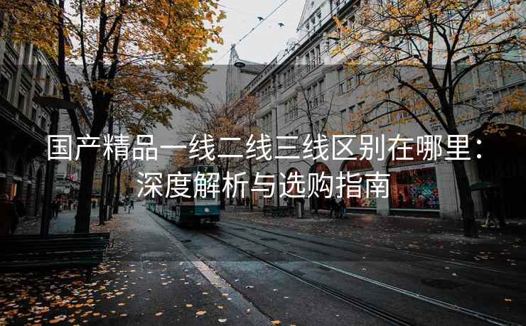 国产精品一线二线三线区别在哪里：深度解析与选购指南