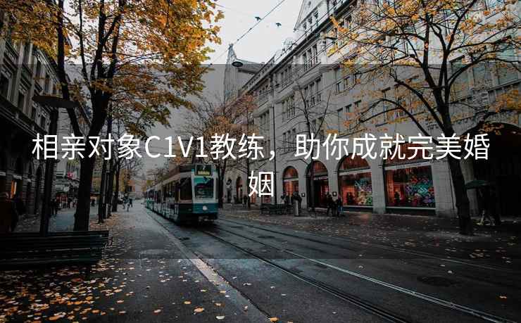 相亲对象C1V1教练，助你成就完美婚姻