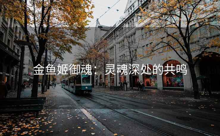 金鱼姬御魂：灵魂深处的共鸣